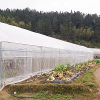 Serre à plusieurs étages économique pour l'élevage du poivre