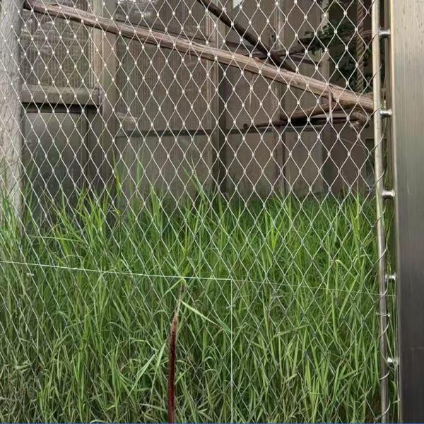 Réseau de câbles en acier inoxydable pour clôture d'aviary zoo - AISI316/316L