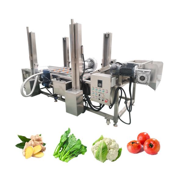 380v/220v/ Máquina de lavar bolhas de mandioca personalizável para lavar frutas e legumes
