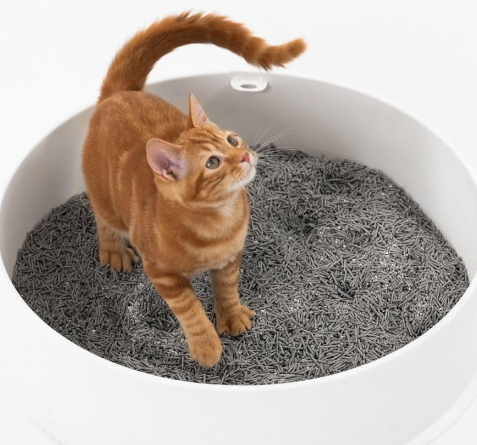 Item Type Eco-Friendly Tofu Cat Litter Box 100% Flushable ODM Designs Original Sand