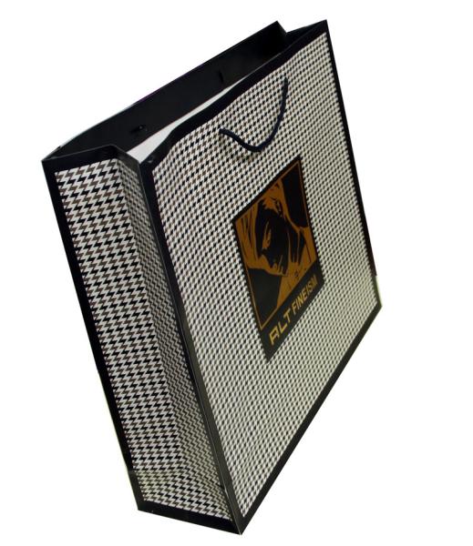 Alt 200g Recycle Paper Carrier Bag With Ribbon Handle, Personalized Logo For Shopping