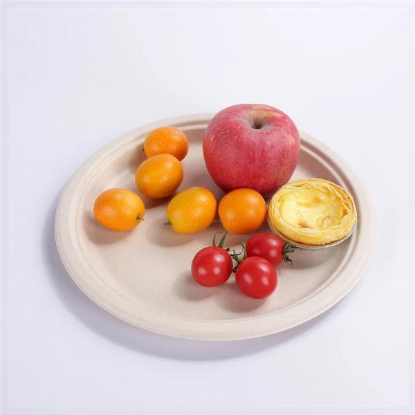 Biodegradable Plastic Tray Plate Cornstarch PLA Environmental Corn Starch