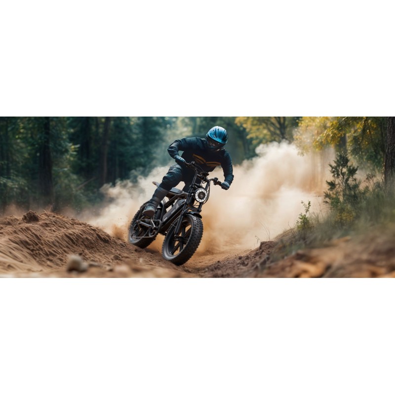 Stock in Europe 1500W Electric Mountain Bike for Adults 20