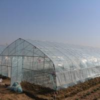 Serre chaude en plastique de tunnel chinois extérieur de voûte transparente pour la culture