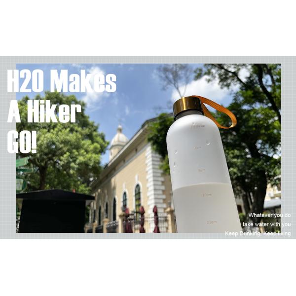 Clear Glass Water Bottles, Reusable Glass Juicing Bottles Protection Sleeve and Stainless Steel Leak Proof Lids