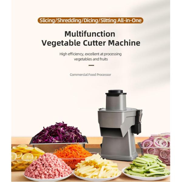 Small Size Vegetable Cutter for Home Shredding Slicing Dicing Raw Material Fruit