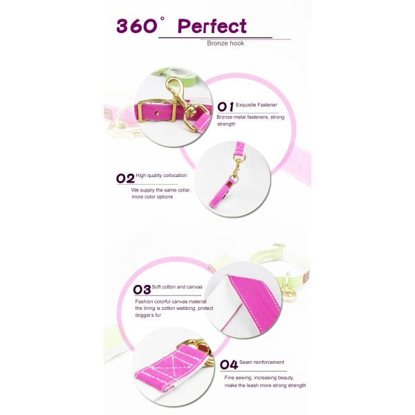 Durable Running Canvas Padded Pet Dog Leash , Colorful European Dog Leash