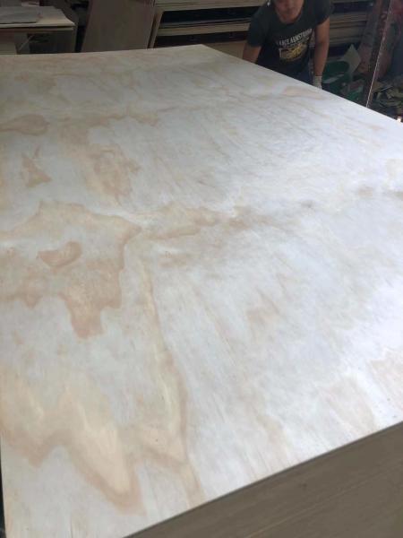 Uv Pine Veneer Laminated Plywood, Cabinet Grade Pine Plywood, UV Coated Pine Face Veneer Panel for Furniture