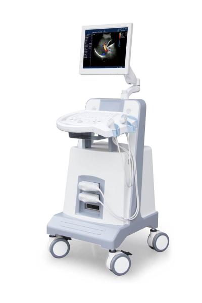 Entry Level Trolley Color Doppler Ultrasound Ultrasonic Diagnostic Instrument 500GB