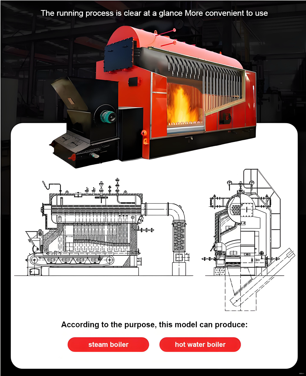 DZL 3 Ton Fully Automatic Feeding Chain Grate Coal Biomass Wood Fired Steam Boiler Professional Export Manufacturer