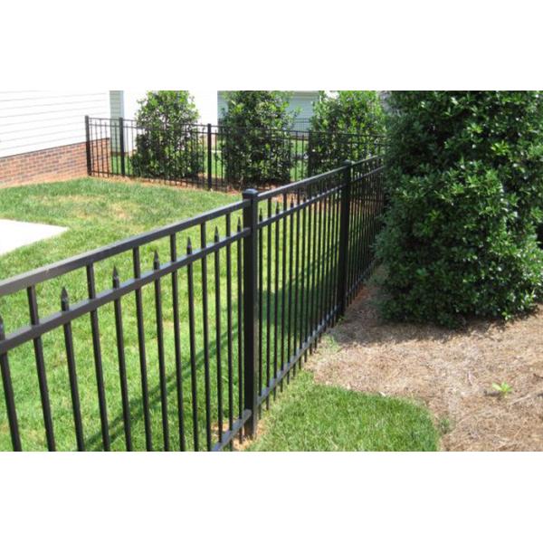 Powder Coated Black Wrought Iron Ornamental Fence Easy Installation