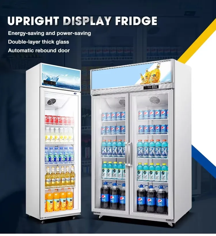 1300L Upright Beverage Cooler Single Temperature Refrigerated Beverage Cooler Commercial