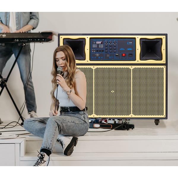 15 Inch Wooden Outdoor Portable Speaker With 45Hz - 20KHz Frequency Response