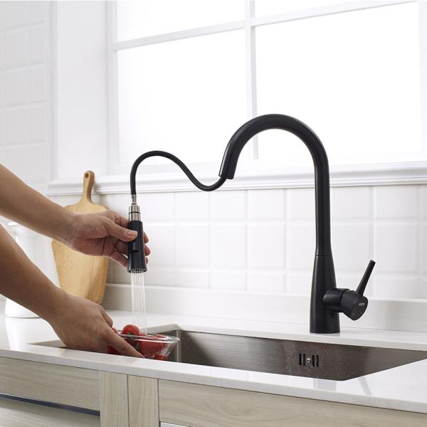 US Market Pull-Out Single Handle 2 Ways Mat Black Kitchen Faucet Pull Out Steel 304/316 Material Tap