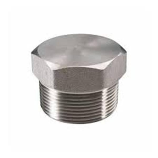 forged high pressure pipe fittings astm 316L forged square head plug 316L hexagonal head plug
