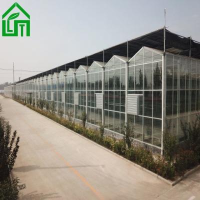 Serra de vidro de 8 m de largura para o cultivo de vegetais Estrutura estável e personalizável