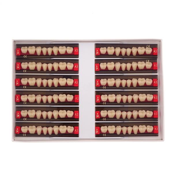 High Durability Acrylic Resin Composite Dental Teeth