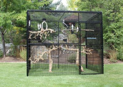 Customized Large Outdoor Bird Aviary 8' Hexagon Cheek'S 3.2mm Wire Dia