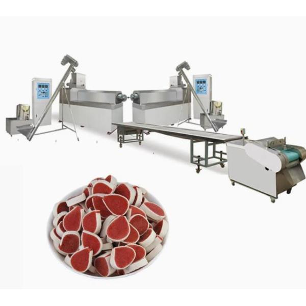 PLC Stainless Steel Pet Treat Machine Chewing Gum Extruder 380V 50HZ