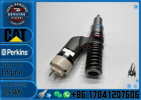Fuel Injector Assembly 259-5409 10R-2977 10R-6162 20R-2437 212-3462 10R-0961 212-3463 For CAT Engine C13 Series