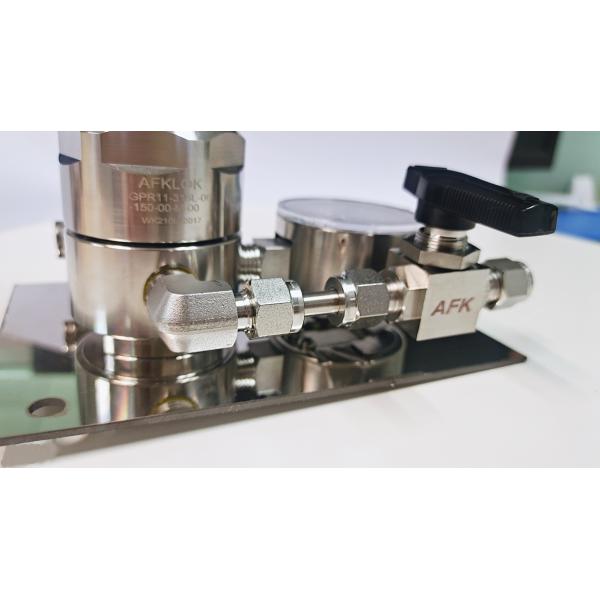 PCTFE Gas Pressure Regulator Decompression Structure R11 Reducer With Ball Valve