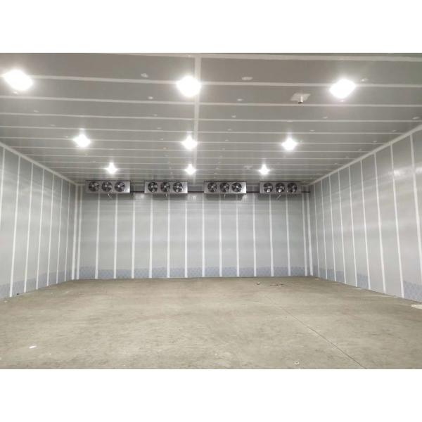 Portas ultrassônicas do armazenamento frio da sala de CA para a esterilização do vegetal de fruto