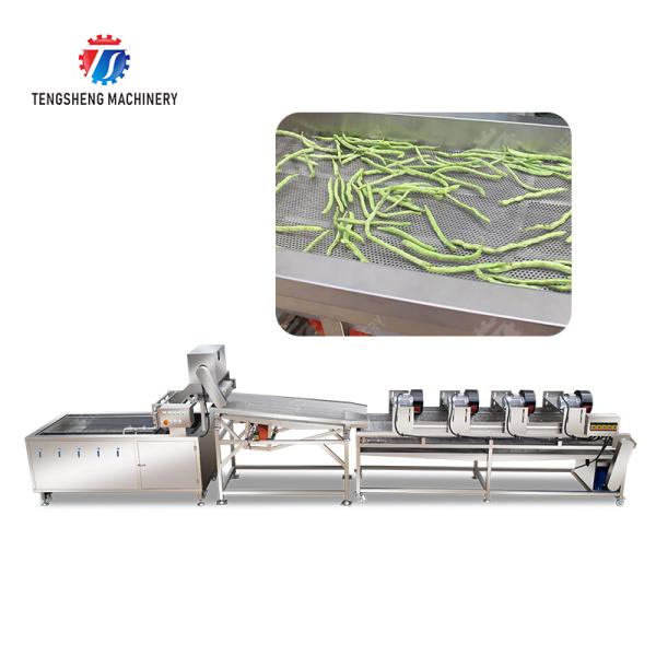 Fruit and vegetable washing and vibrating drying production line Fruit Vegetable FOOD processing production Machine Versatile and Durable Fruit Vegetable Processing Line for Your Business Processin