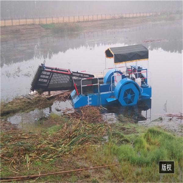 20 medidores cúbicos que carregam o barco aquático inoxidável da ceifeira da erva daninha para o jacinto de água e a coleção de lingüeta