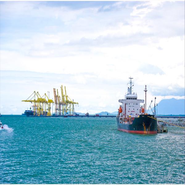 International Sea Freight Forwarder FCL LCL Service To Gdansk Gdynia