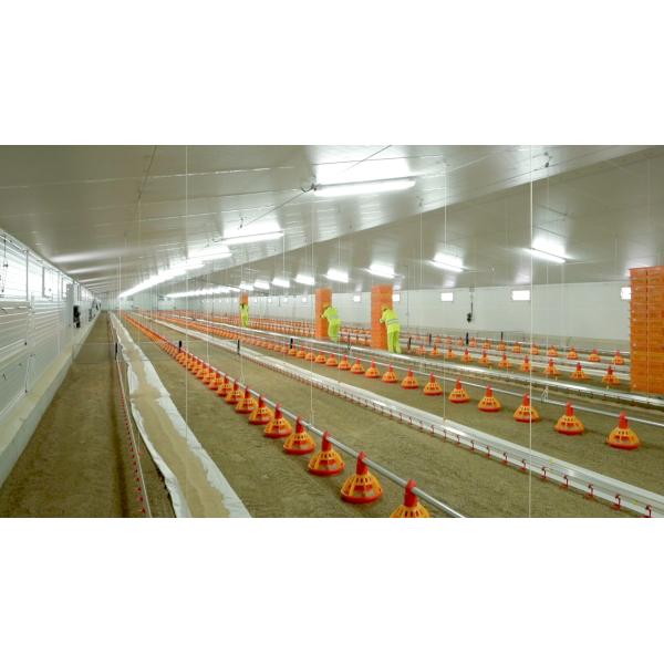 Система клеток для бройлеров птицеводческих хозяйств с чертежным дизайном MTS и стальным классом