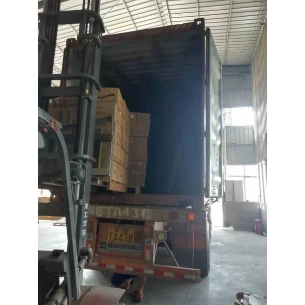 Disposable Dental Exam Grade Sterile Nitrile Gloves S M L XL