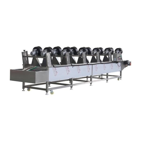 Conveniently Designed Fruit and Vegetable Drying Machine for High Capacity Drying