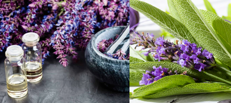 Soy Candle Fragrances Lavender & Sage Fragrance  Essence Oil For Scented Candle Production Whole Sales