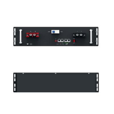 Rack Mount Solar Battery 5Kwh 51.2V 100Ah Lithium Ion Server Rack Battery LiFePO4