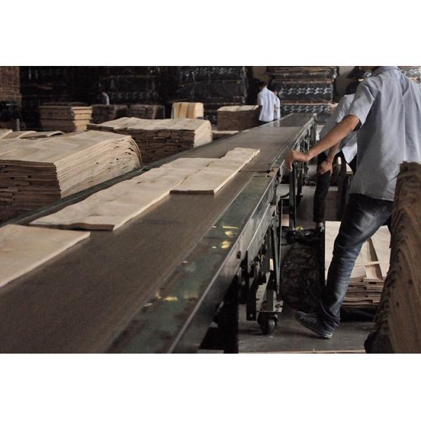 Курят древесина красного дуба лощит/естественный квартал переклейки облицовки отрезала FSC