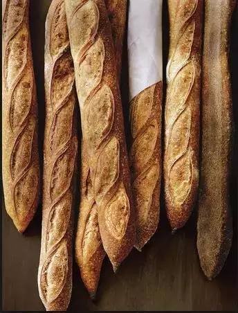 480kgs Baguette Shaping Machine Toast 3000 Pieces/Hour Forming Bread Dough