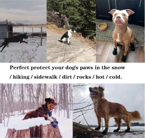 Водоустойчивый любимец обувает прочные отражательные анти- ботинки собаки выскальзывания