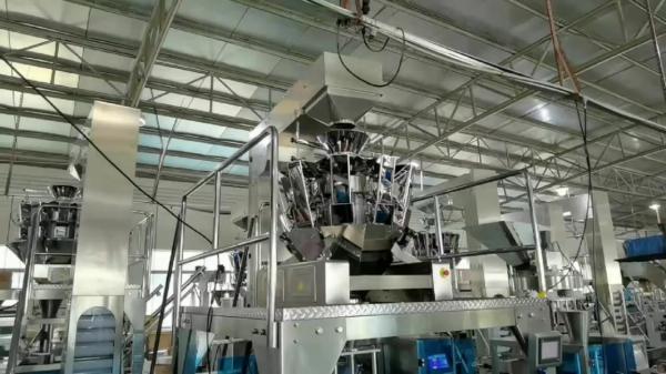Automatic Weighing 100g 200g 250g Prawn Crackers/Potato Chips/Dry Food Packaging Machine