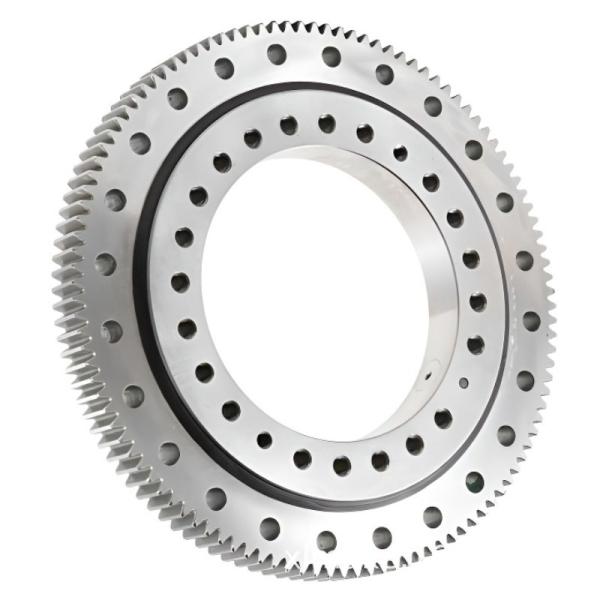Heavy Duty Excavator Slewing Bearing 011.45.1600.03 Rotary Table Gear Bearing