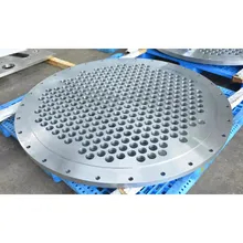 Forged Stainless Steel 304 Tubesheet/Tube Sheet