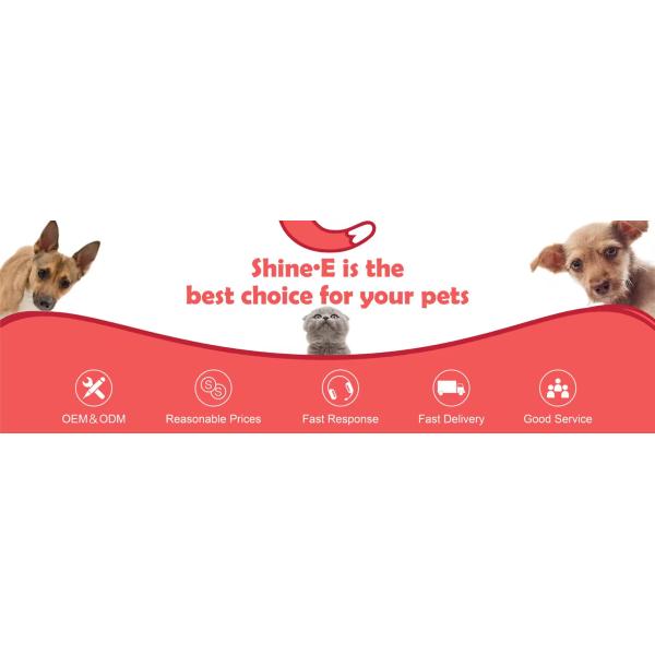 Interactive Smart Electric Rechargeable Plush Flapping Bird Toy for Dogs and Cats Touch Activated Sparrow Chirp Tweet Pet