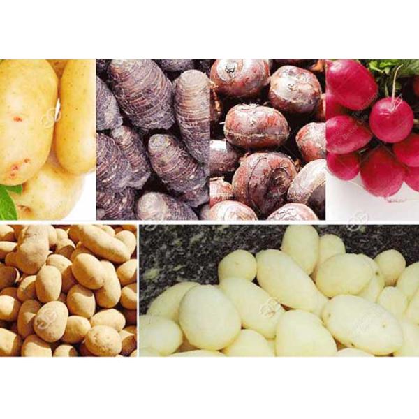 Potato Carrot Washing And Peeling Two In One Machine Small Scale