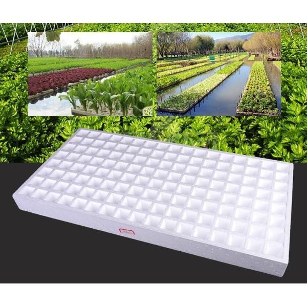 Computerized HS-CXJ-1750 EPS Sendling Tray Automatic Block Foaming Machine for Market