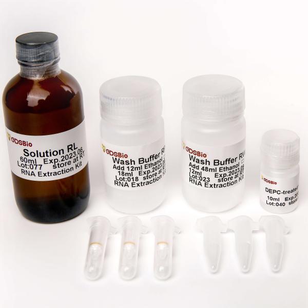 RNase-Free Spin Column General RNA Extraction Kit R1051 50 Preps