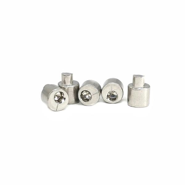 O parafuso traseiro 4.9X10.5 de Axle Eccentric Adjusting Stainless Steel lustrou SUS304