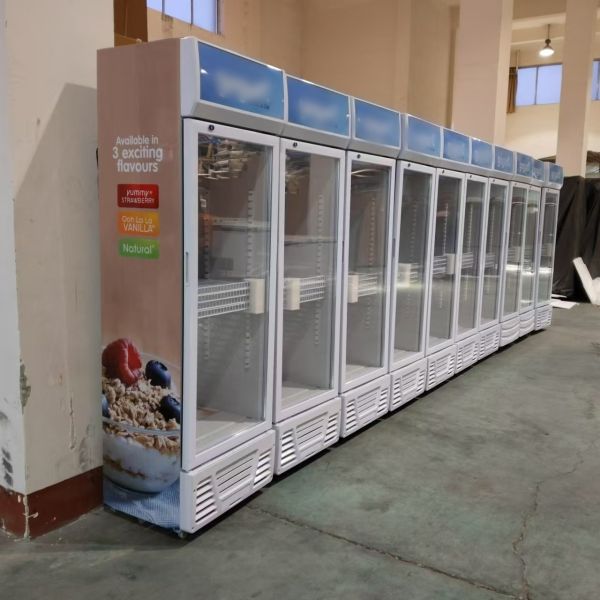 Freestanding Commercial Glass Front Refrigerator See Through Refrigerator