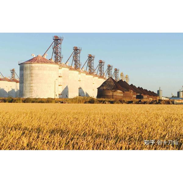 PSA Nitrogen Generator for Grain Storage 200Nm3/hr