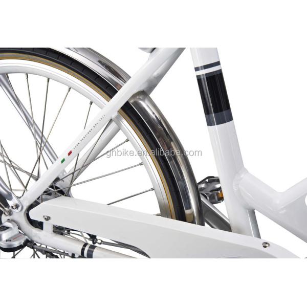 Single Speed 200-250W Green City Electric Bike for Europe Market 26 Inch A2B in Green