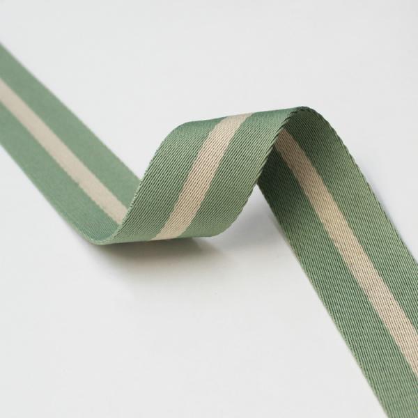 Лента Webbing полиэстера отделки Webbing ширины OEM 4cm