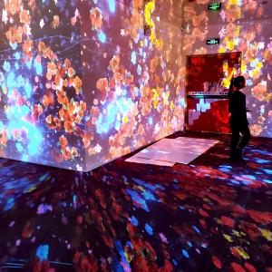 投影スクリーンシステム ホログラフィック・イマージブ・ダイナミック・デジタルアート